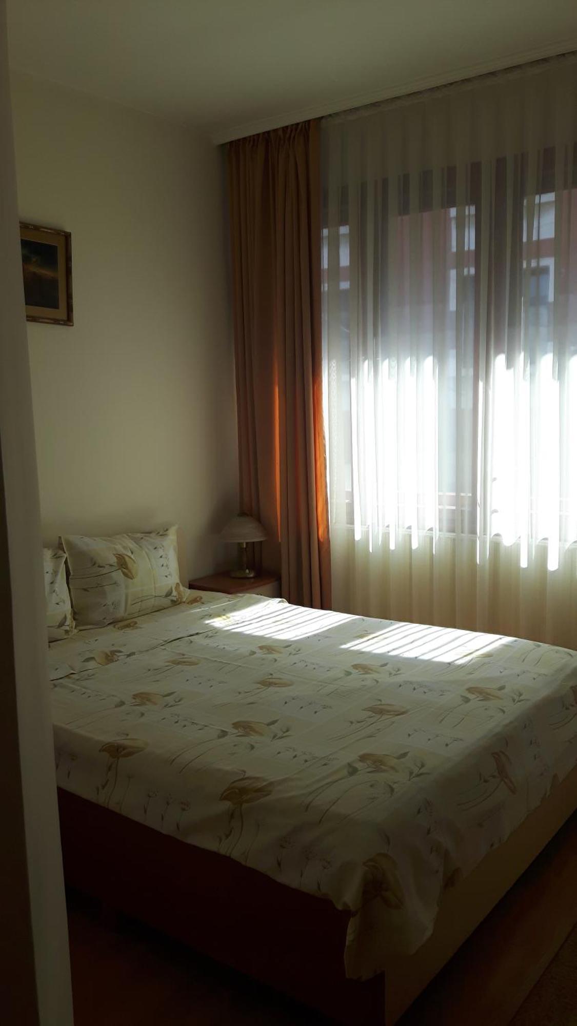 Primavera 1 Hotel パザルジク エクステリア 写真
